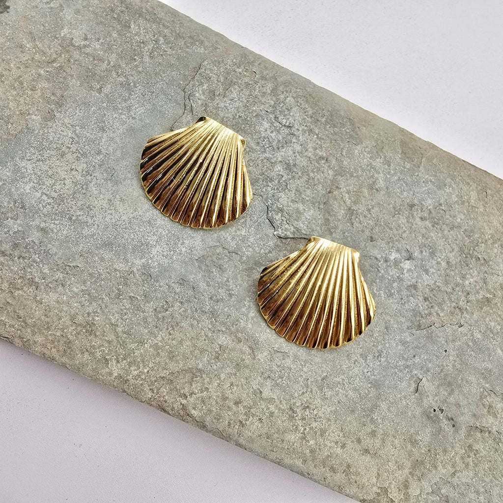 Seashell Studs