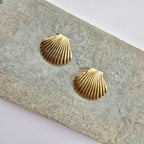 Seashell Studs